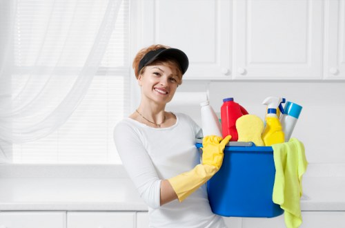 Professional carpet cleaning service at work in a home interior