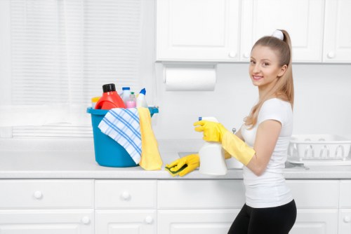 DIY and professional stain removal tools used in St Pancras