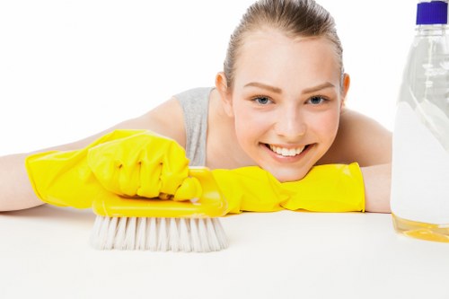 Illustration of cookie usage on a carpet cleaning website