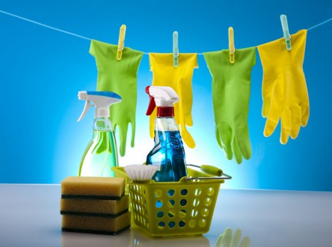 Cleaner placing safety precautions before carpet cleaning begins